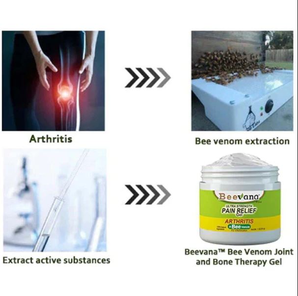 (Pack of 3) BeeTherapy™ #1 Bee Venom Pain Relief Cream | Buy 1 Get 2 Free | ⭐️⭐️⭐️⭐️ 4.9/5 Reviews