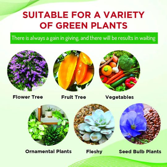 100% Organic Plant Boost Biofertilizer | BUY 1 GET 2 FREE | ⭐️⭐️⭐️⭐️ 4.9/5 Reviews